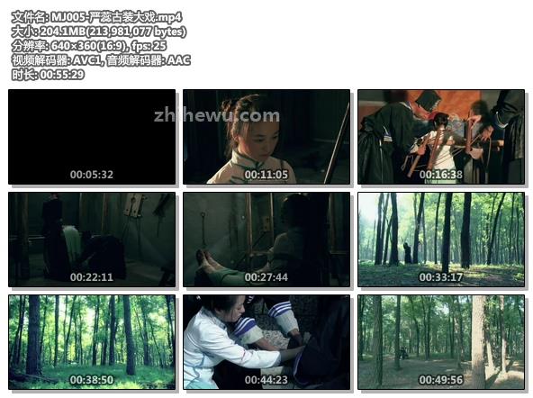 MJ005-严蕊古装大戏.jpg