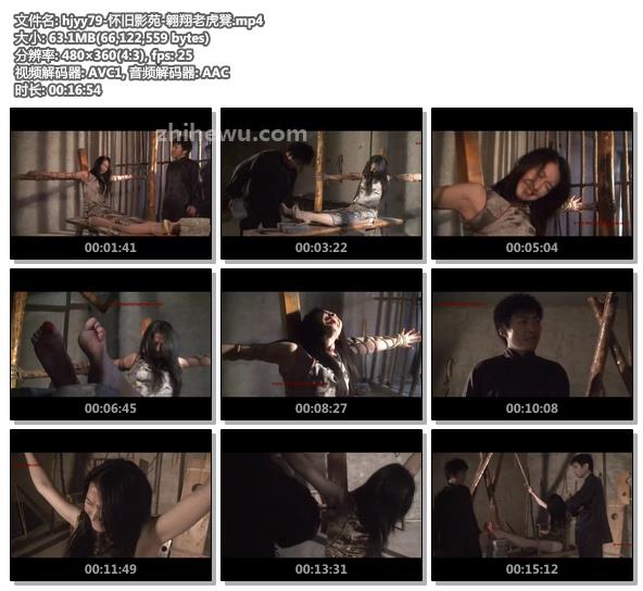 hjyy79-怀旧影苑-翱翔老虎凳.jpg