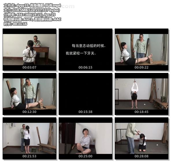 dyqy35-典雅倩影-风声.jpg