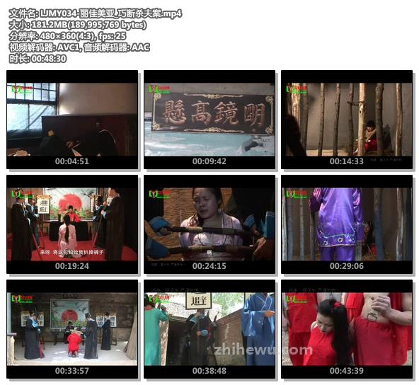 LJMY034-丽佳美亚_巧断杀夫案.jpg