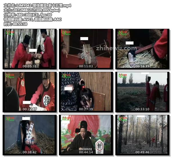 LJMY042-丽佳美亚_新十五贯.jpg