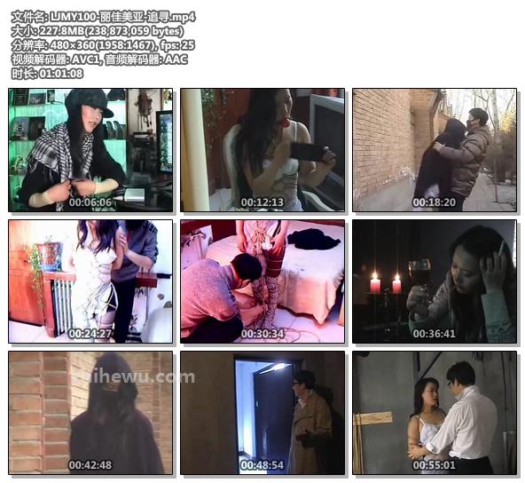 LJMY100-丽佳美亚-追寻.jpg
