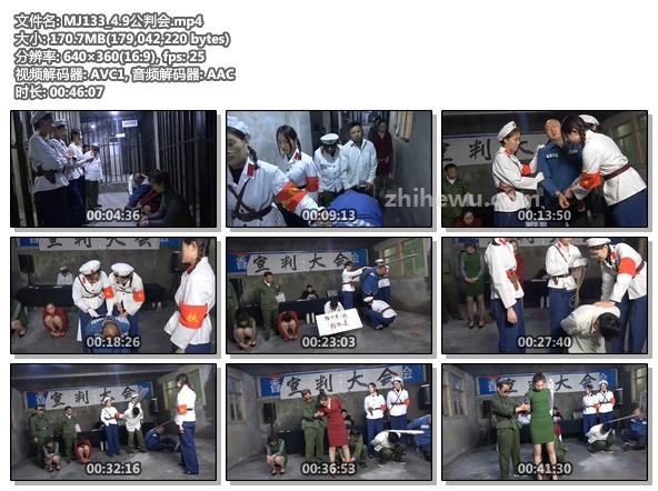 MJ133_4.9公判会.jpg
