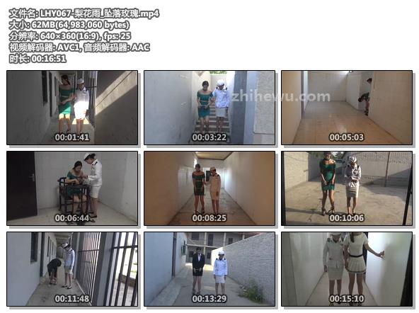 LHY067-梨花雨_坠落玫瑰.jpg