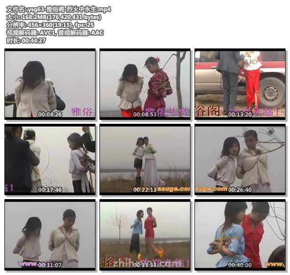 ysg63-雅俗阁-烈火中永生.jpg
