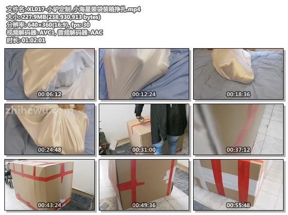 XL017-小驴定制_小海星装袋装箱挣扎.jpg