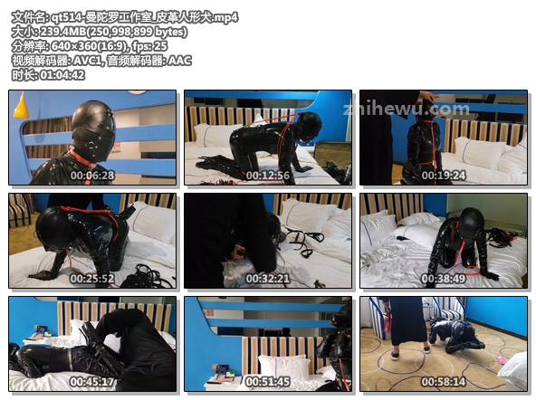 qt514-曼陀罗工作室_皮革人形犬.jpg