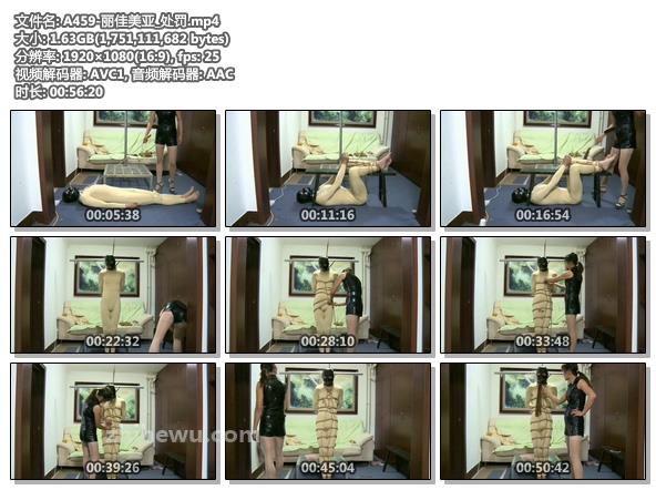 A459-丽佳美亚_处罚.jpg