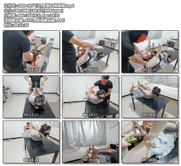 C809-HD飞天_易美K9架禁锢.jpg