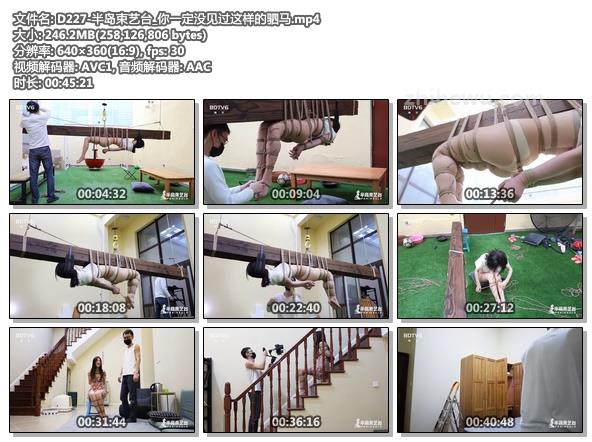 D227-半岛束艺台_你一定没见过这样的驷马.jpg