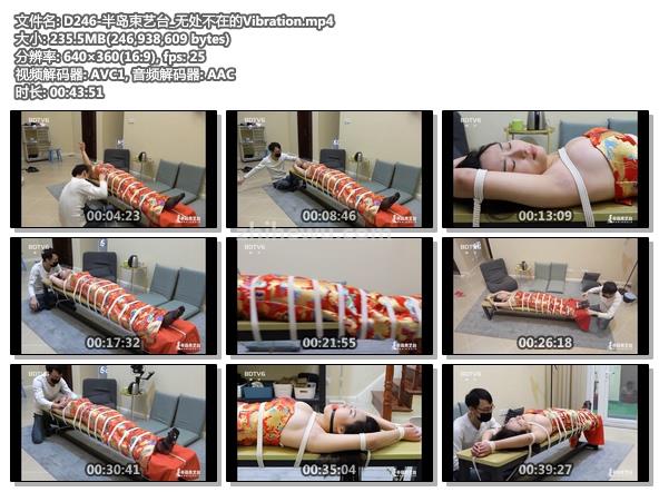 D246-半岛束艺台_无处不在的Vibration.jpg