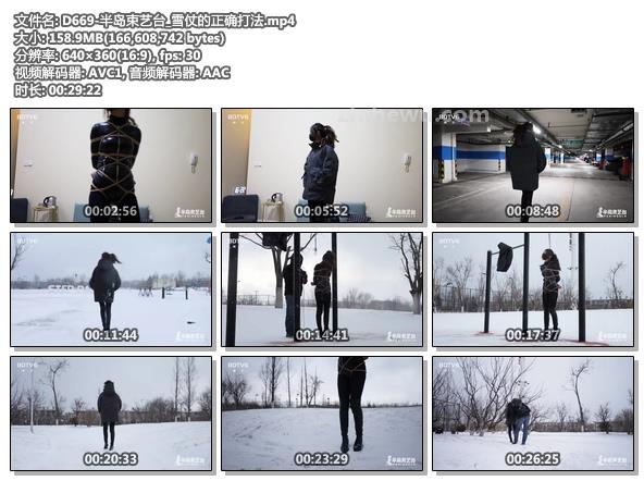 D669-半岛束艺台_雪仗的正确打法.jpg