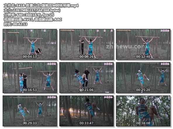E418-胜景山庄_旗袍双M树林吊缚.jpg