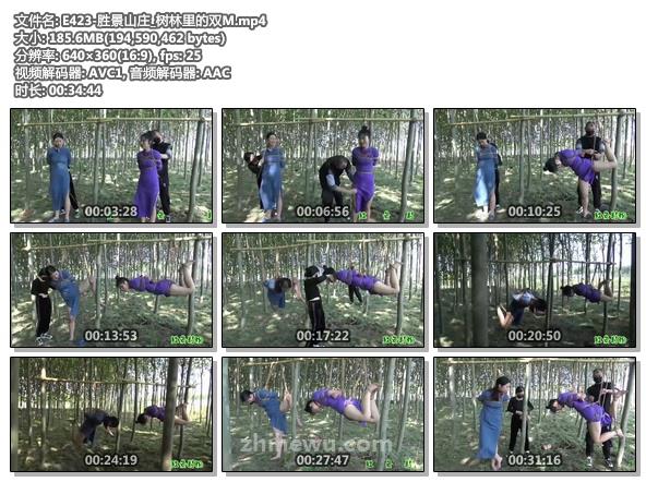 E423-胜景山庄_树林里的双M.jpg