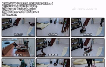 H366-半岛束艺台_自行驷马 苏子主演