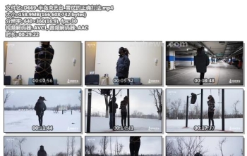 D669-半岛束艺台_雪仗的正确打法