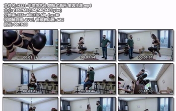 H321-半岛束艺台_蹲坑式悬吊 奎因主演
